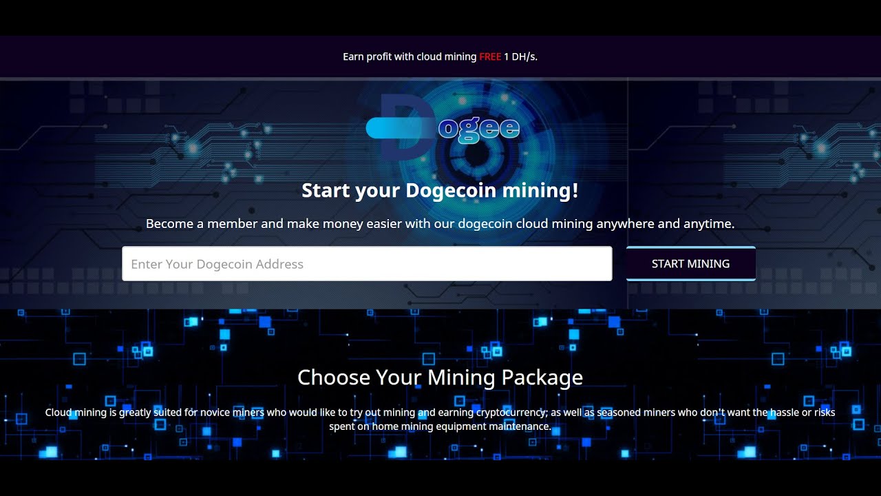 Dogecoin Stock Price : 'Let's All Get Rich'—Teen TikTok ...