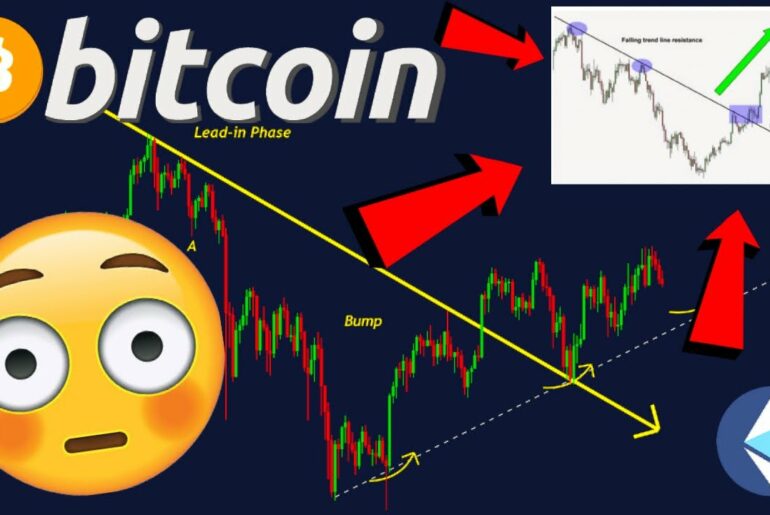 What Is The Best Crypto Coin To Buy Right Now - crypto coins #bitcoinsmoney | Buy cryptocurrency, Best ... : While bch did have a lot of different periods.
