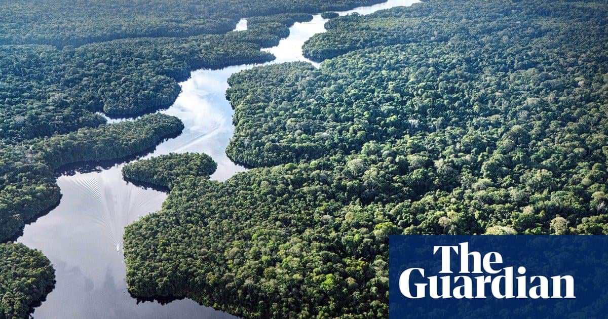 Big trees in Amazon more climate-resistant than previously believed ...